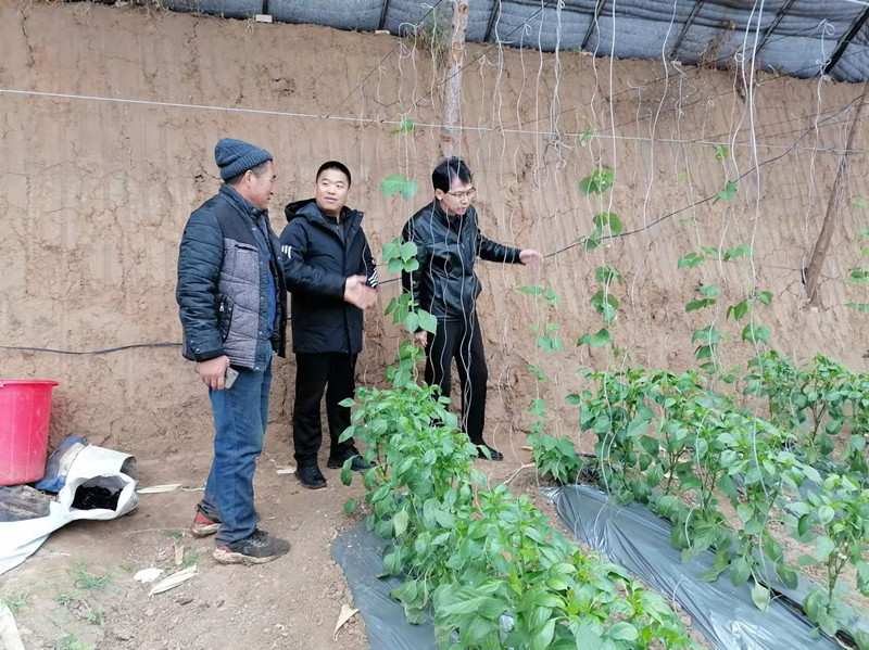 微信图片_20211111103348_副本.jpg