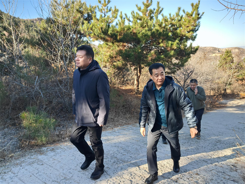 微信图片_202411181.jpg