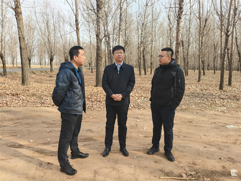 微信图片_20241119145311.jpg